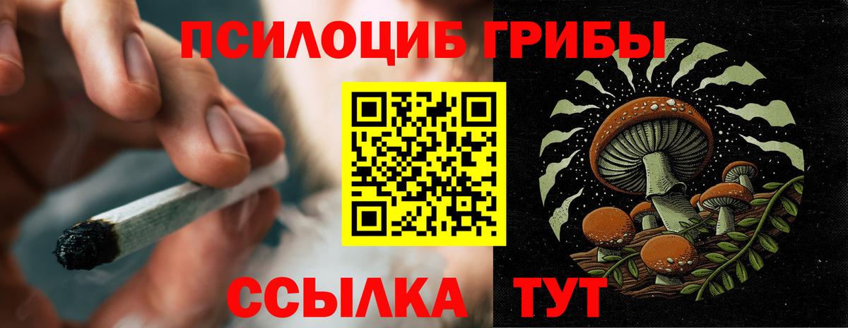 Псилоцибиновые грибы прущие грибы Лосино-Петровский